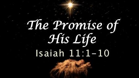 Isaiah 11:1–10 (ESV) “There shall come forth a shoot from the stump of Jesse, and a branch from his roots shall bear fruit. 2 And the Spirit of the Lord.