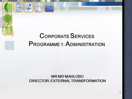 1 C ORPORATE S ERVICES P ROGRAMME 1: A DMINISTRATION MR MD MAHLOBO DIRECTOR: EXTERNAL TRANSFORMATION.