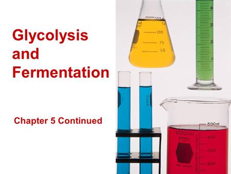 Glycolysis and Fermentation