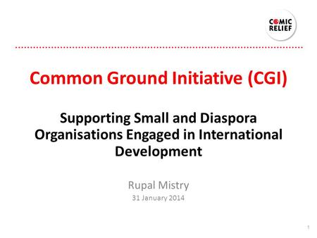 Common Ground Initiative (CGI) Supporting Small and Diaspora Organisations Engaged in International Development Rupal Mistry 31 January 2014 1.