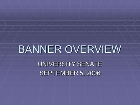 1 BANNER OVERVIEW UNIVERSITY SENATE SEPTEMBER 5, 2006.