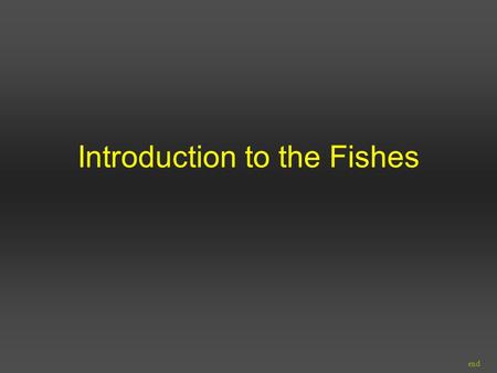 Introduction to the Fishes end. Focus 20,000+ species will cover important species –selected regional fishes –representatives of major groups –well-known.