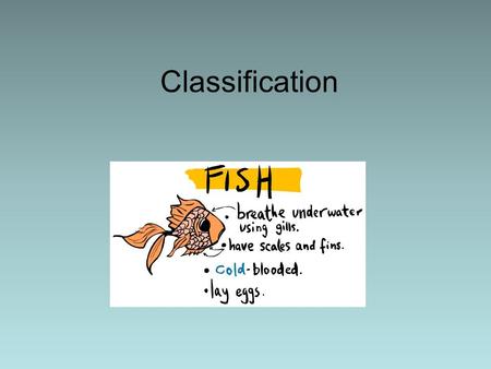 Classification. classificationThe activity that involves grouping and naming is called classification. Biologists classify organisms into categories called.