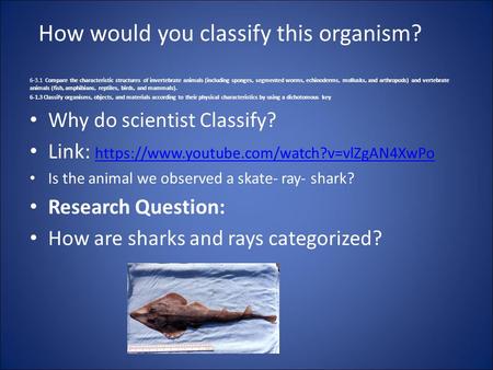 How would you classify this organism? 6-3.1 Compare the characteristic structures of invertebrate animals (including sponges, segmented worms, echinoderms,