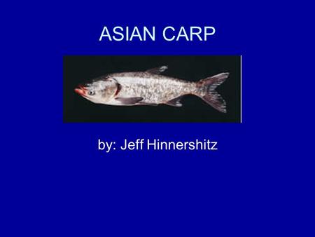 ASIAN CARP by: Jeff Hinnershitz. Origin There native range is southern and central Asia.