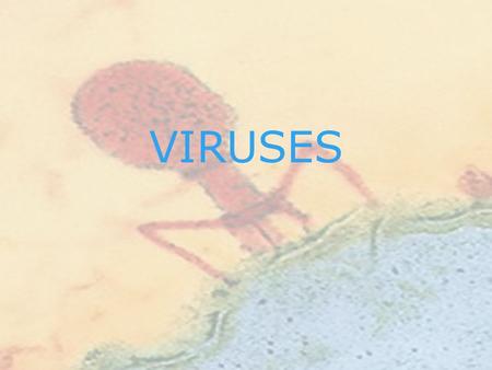 VIRUSES.