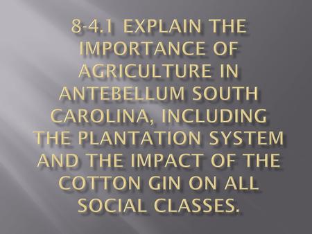 8-4.1 Explain the importance of agriculture in antebellum South Carolina, including the plantation system and the impact of the cotton gin on all social.