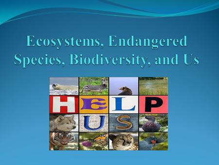 Ecosystems, Endangered Species, Biodiversity, and Us