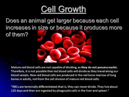 Cell Growth Does an animal get larger because each cell increases in size or because it produces more of them? Mature red blood cells are not capable of.