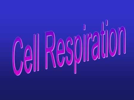 Harvesting Chemical Energy ATP--main fuel for cells Cellular Respiration--process cells use to make ATP by breaking down organic compounds.