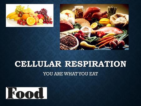 CELLULAR RESPIRATION YOU ARE WHAT YOU EAT. CELLULAR RESPIRATION *Controlled process that releases ENERGY (in the bonds) of food in the presence of oxygen.