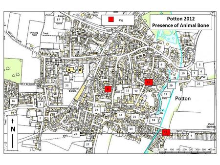 N 1 2 3 4 5 6 7 8 9 10 11 13 14 15 16 17 18 19 20 21 22 24 25 26 27 23 12 Potton 2012 Presence of Animal Bone Pig.