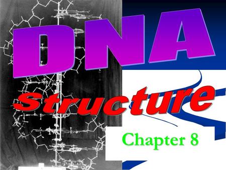 DNA Structure Chapter 8.