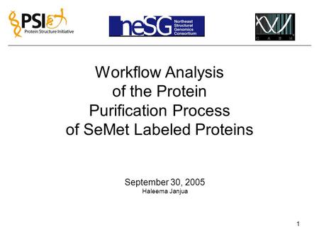 1 Workflow Analysis of the Protein Purification Process of SeMet Labeled Proteins September 30, 2005 Haleema Janjua.