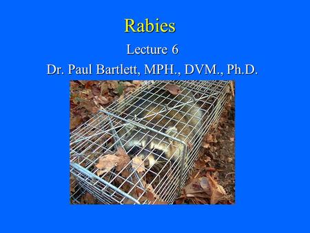 Rabies Lecture 6 Dr. Paul Bartlett, MPH., DVM., Ph.D.