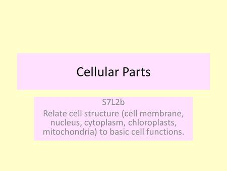 Cellular Parts S7L2b Relate cell structure (cell membrane, nucleus, cytoplasm, chloroplasts, mitochondria) to basic cell functions.