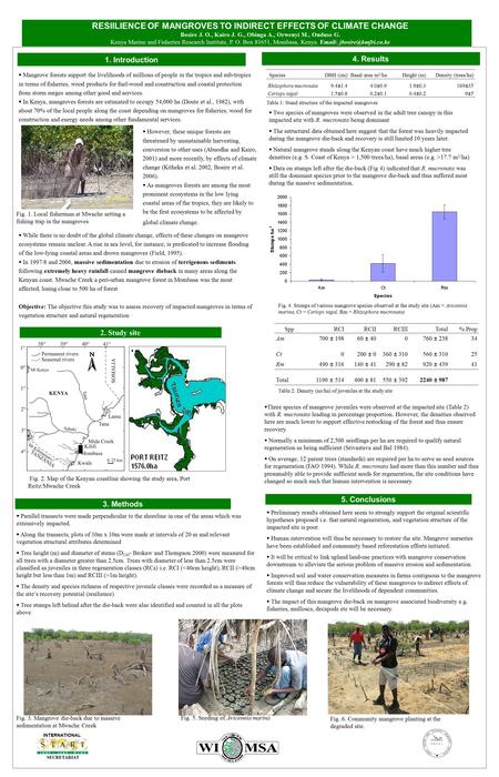  Mangrove forests support the livelihoods of millions of people in the tropics and sub-tropics in terms of fisheries, wood products for fuel-wood and.