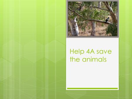 Help 4A save the animals. Birds live in trees Birds build their nests in trees.