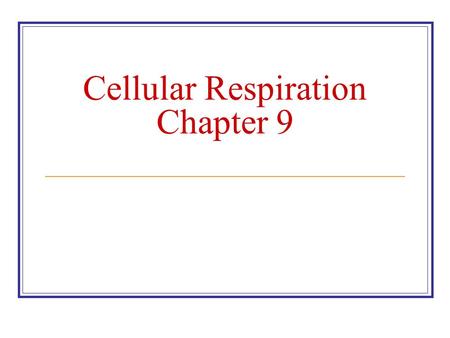 Cellular Respiration Chapter 9