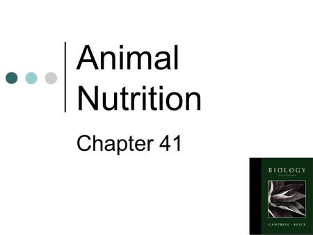 Animal Nutrition Chapter 41 Animals are heterotrophs They eat for three reasons: To obtain fuel for cell processes To get carbon to build organic molecules.