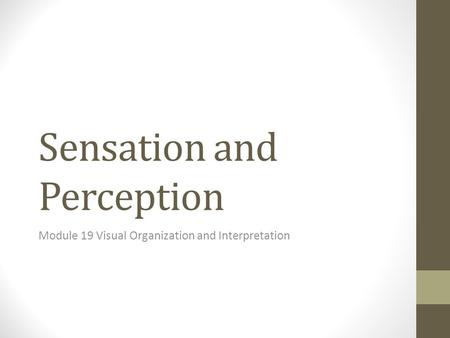 Sensation and Perception