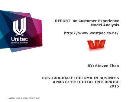 >>APMG 8119: DIGITAL ENTERPRISE REPORT on Customer Experience Model Analysis  BY: Steven Zhao POSTGRADUATE DIPLOMA IN BUSINESS.