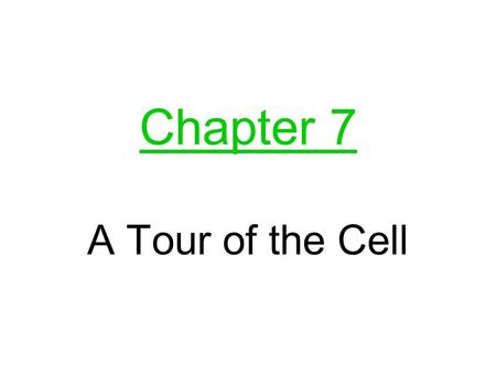 Chapter 7 A Tour of the Cell.