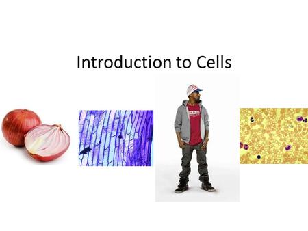 Introduction to Cells.