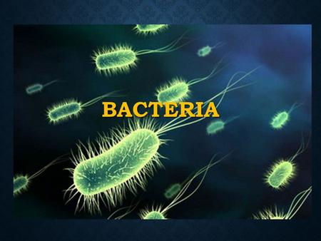 BACTERIA.