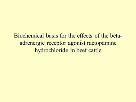 Biochemical basis for the effects of the beta-adrenergic receptor agonist ractopamine hydrochloride in beef cattle.