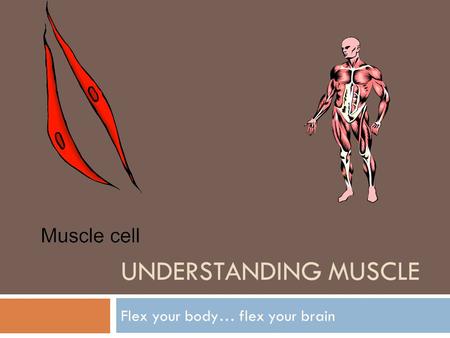 UNDERSTANDING MUSCLE Flex your body… flex your brain.