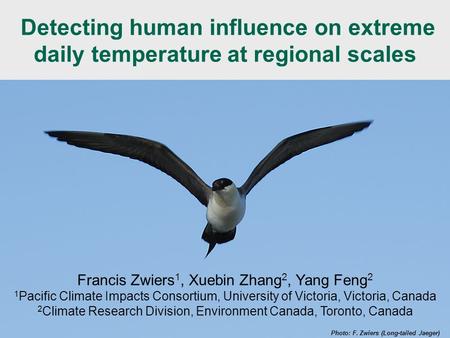 WCRP Extremes Workshop - 27-29 Sept 2010 Detecting human influence on extreme daily temperature at regional scales Photo: F. Zwiers (Long-tailed Jaeger)