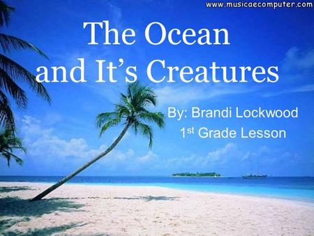 The Ocean and It’s Creatures By: Brandi Lockwood 1 st Grade Lesson.