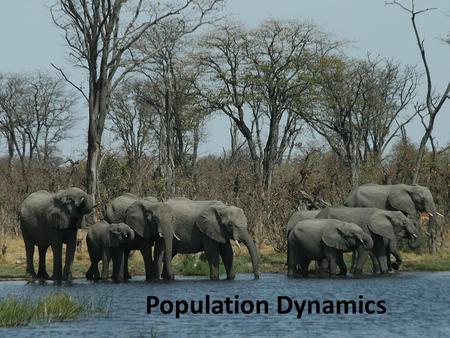 Population Dynamics.