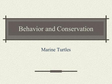 Behavior and Conservation Marine Turtles. Reproduction Mate in the water Appear to rely on visual cues for species and sex recognition Oviparous.