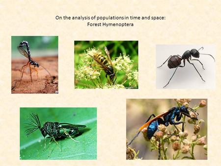 On the analysis of populations in time and space: Forest Hymenoptera.