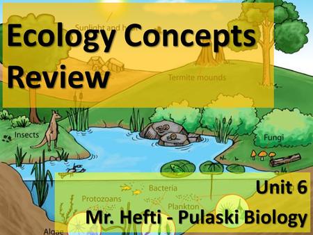 Ecology Concepts Review Unit 6 Mr. Hefti - Pulaski Biology.