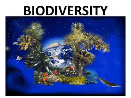 BIODIVERSITY.