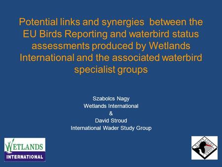 Potential links and synergies between the EU Birds Reporting and waterbird status assessments produced by Wetlands International and the associated waterbird.