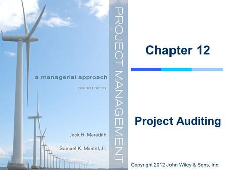 Copyright 2012 John Wiley & Sons, Inc. Chapter 12 Project Auditing.