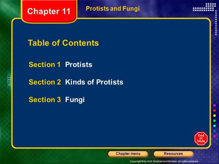 Copyright © by Holt, Rinehart and Winston. All rights reserved. ResourcesChapter menu Table of Contents Section 1 Protists Section 2 Kinds of Protists.