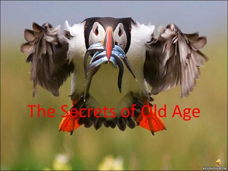 The Secrets of Old Age.