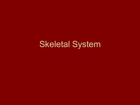 Skeletal System.