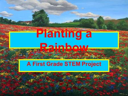 A First Grade STEM Project