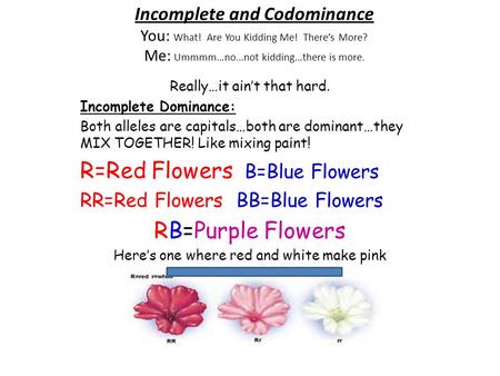 R=Red Flowers B=Blue Flowers RB=Purple Flowers