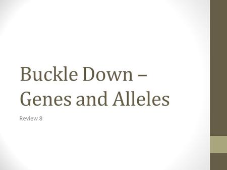 Buckle Down – Genes and Alleles Review 8. Important Vocabulary Gene – piece of a chromosome that codes for a trait Trait – a specific characteristic that.