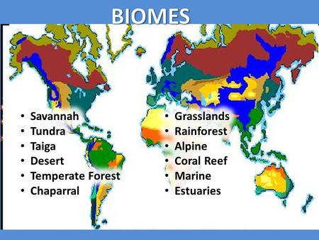 BIOMES Savannah Grasslands Tundra Rainforest Taiga Alpine Desert