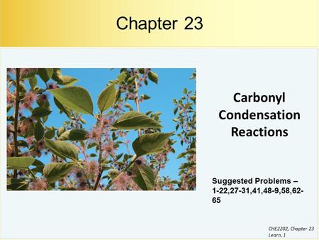 Carbonyl Condensation Reactions