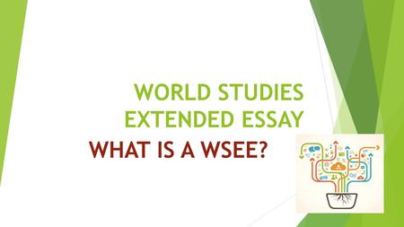 WORLD STUDIES EXTENDED ESSAY WHAT IS A WSEE?. THE AIMS OF THE IBDP WSEE IS TO: GLOBAL SELF UNDERSTANDINGSENSITIVITY.