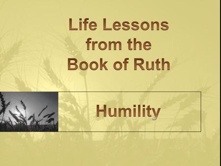 Ruth 2:6-13 6 The servant in charge of the reapers replied, She is the young Moabite woman who returned with Naomi from the land of Moab. 7 And she said,